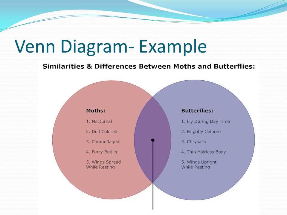 Illustrating Set Relationships With Venn Diagrams